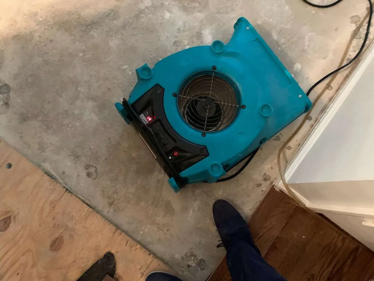 Air mover drying subfloor during Commercial Water Damage Restoration in Taylor